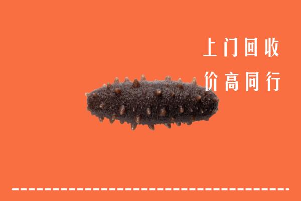 高价求购：新市区回收海参